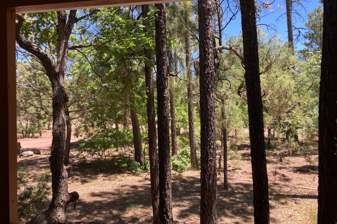 Tranquil Pines Retreat Villa Pinetop-Lakeside Bagian luar foto